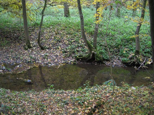 IMG_8357