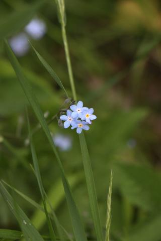 IMG_4520