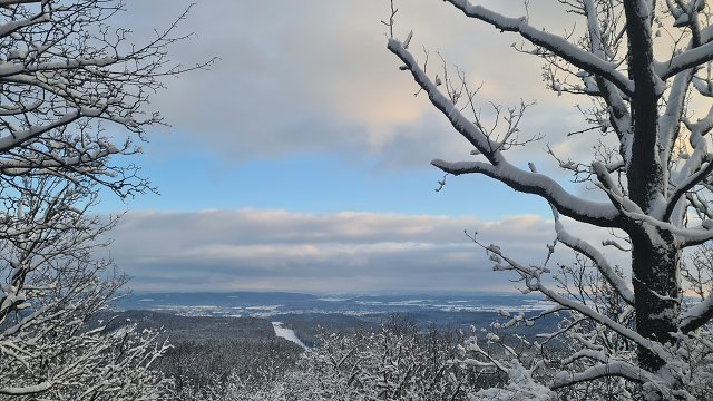 img00020.jpg