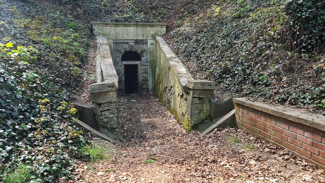 img00018.jpg
