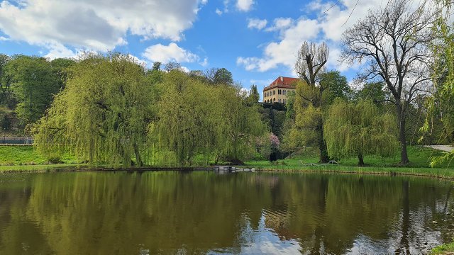 img00020.jpg