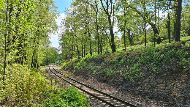 img00021.jpg