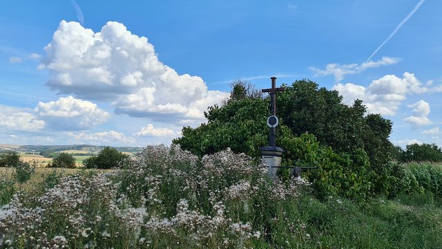 img00023.jpg
