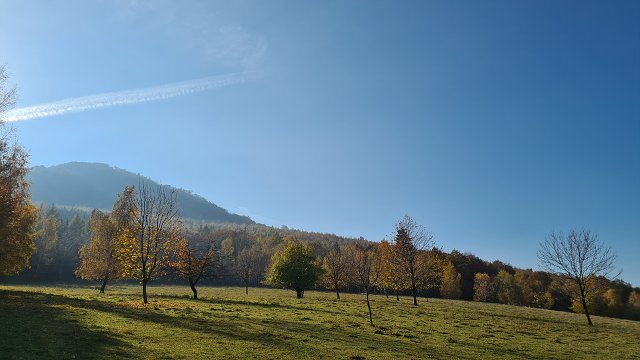 img00013.jpg