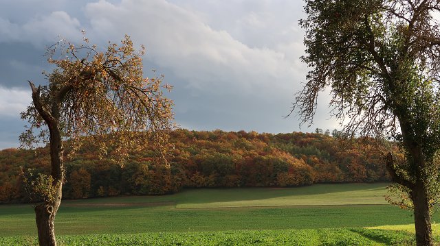 img00054.jpg