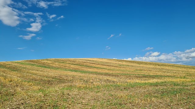 img00106.jpg