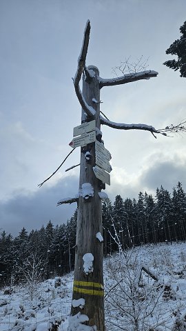 img00043.jpg