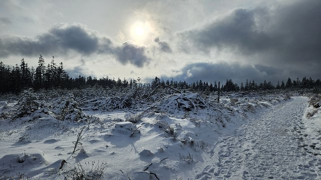 img00046.jpg