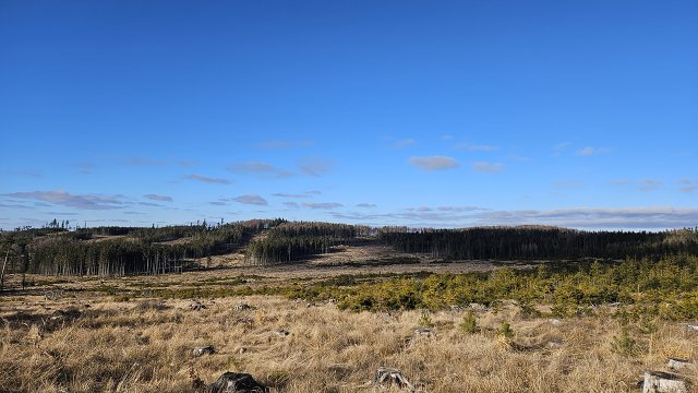 img00005.jpg