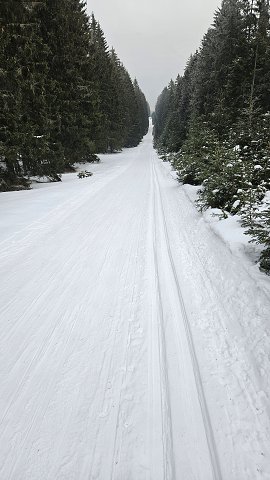 img00010.jpg
