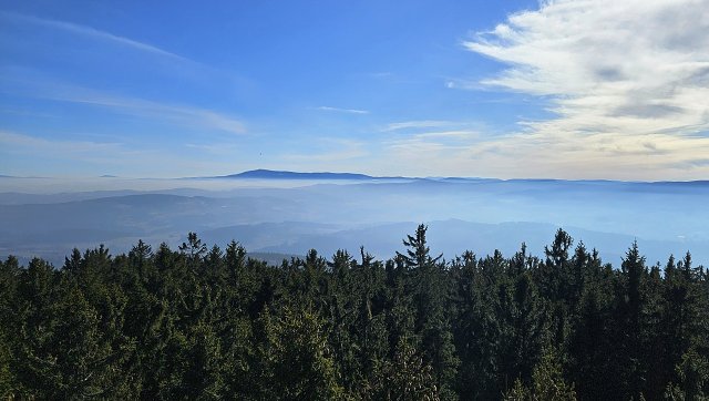 img00035.jpg