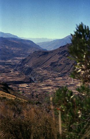 IMG_0096