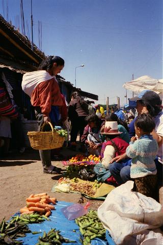 IMG_0349