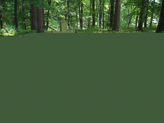 img00008.jpg