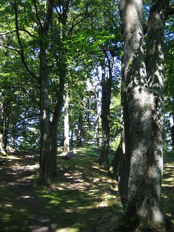 img00013.jpg