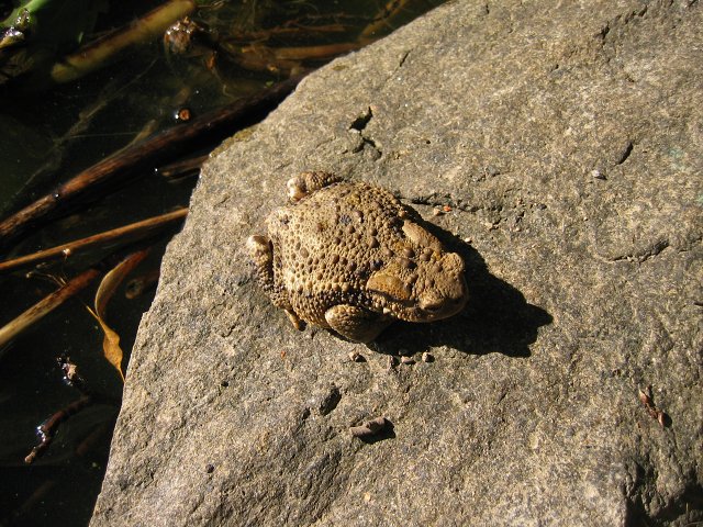 img00019.jpg