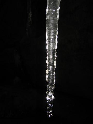 IMG_9152