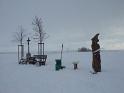 WP_20170115_045
