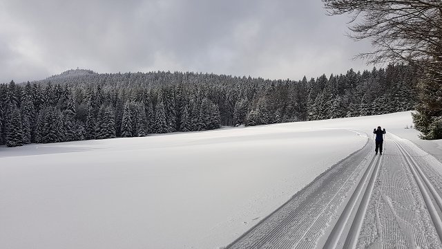 img00028.jpg