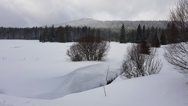 img00029.jpg