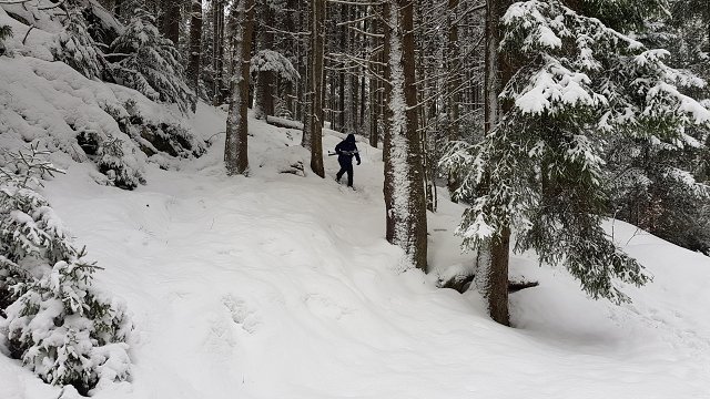 img00032.jpg