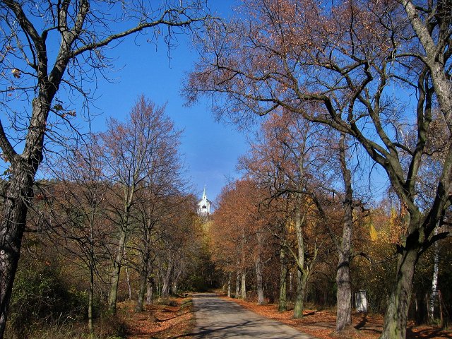 img00039.jpg