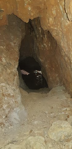 img00017.jpg