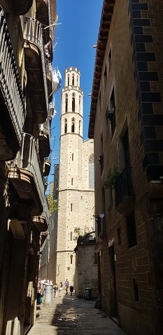 img00009.jpg