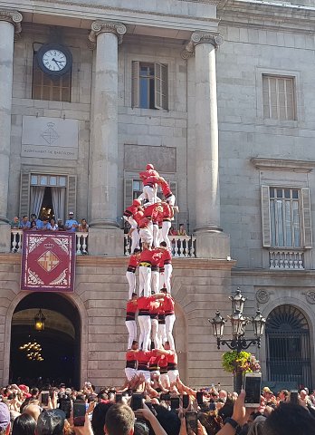img00010.jpg