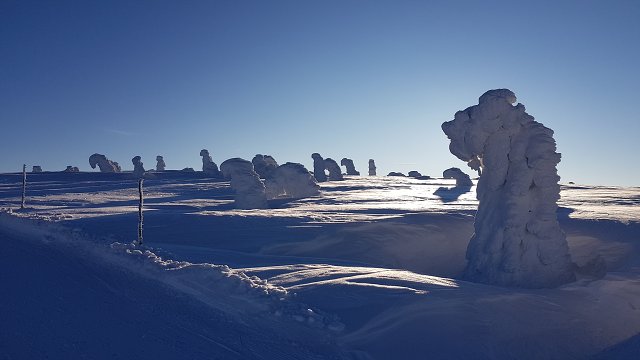 img00021.jpg