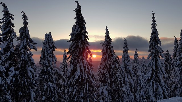 img00025.jpg