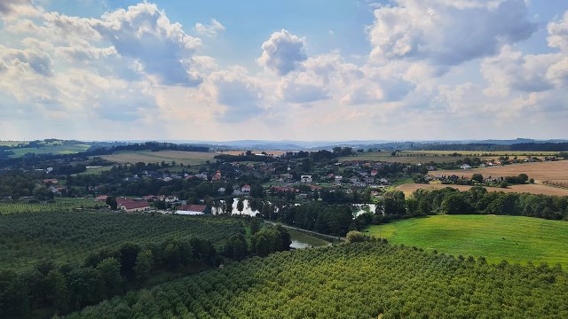 img00033.jpg
