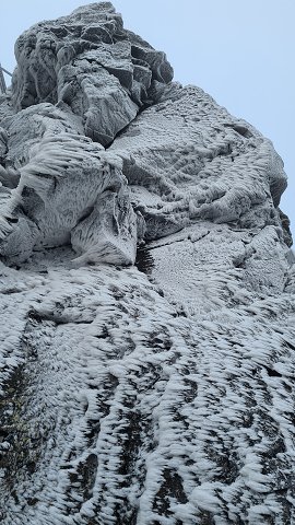 img00026.jpg