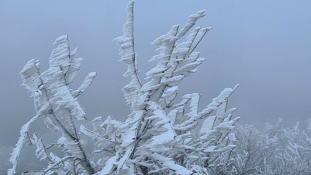 img00027.jpg