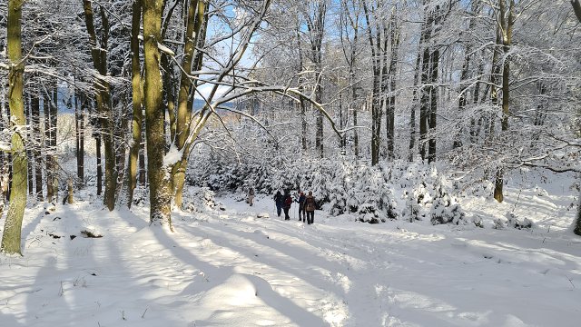 img00016.jpg