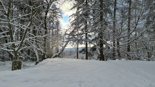 img00017.jpg