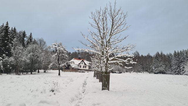 img00023.jpg