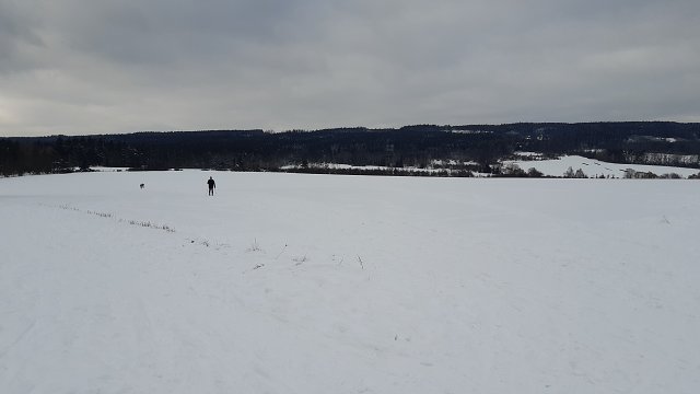 img00016.jpg