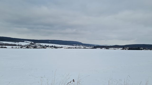 img00019.jpg