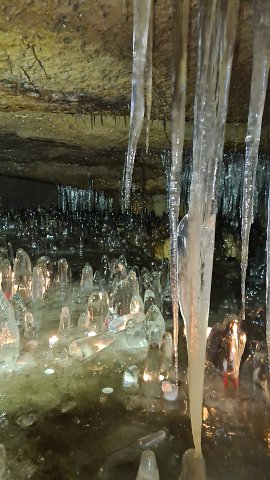 img00017.jpg