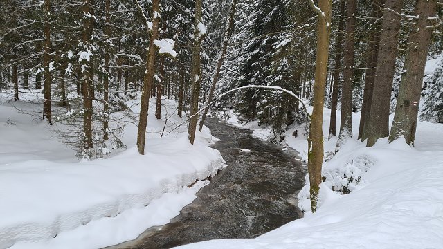 img00024.jpg