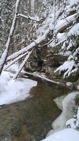 img00026.jpg