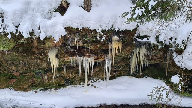 img00027.jpg