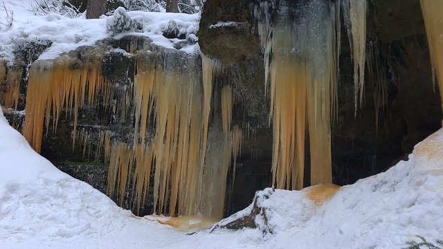 img00036.jpg