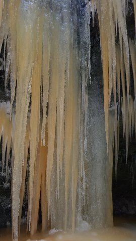 img00037.jpg