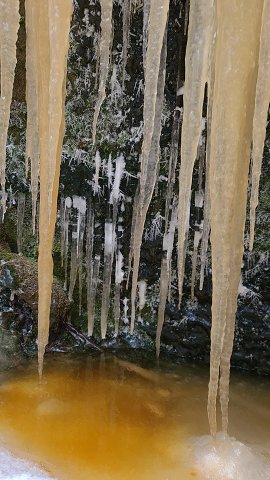 img00039.jpg