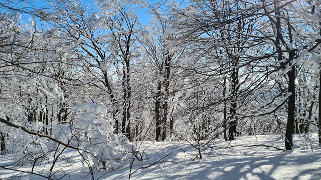img00020.jpg