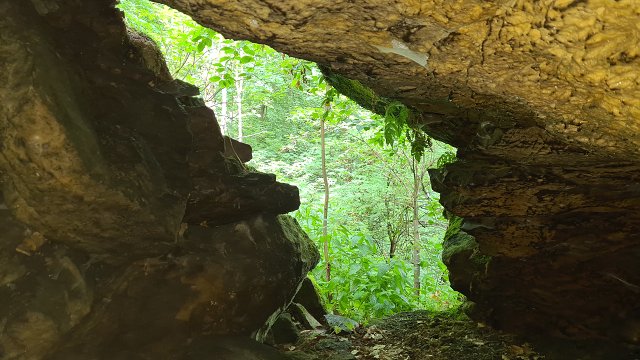 img00035.jpg