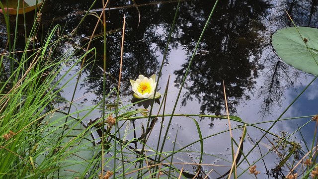 img00028.jpg