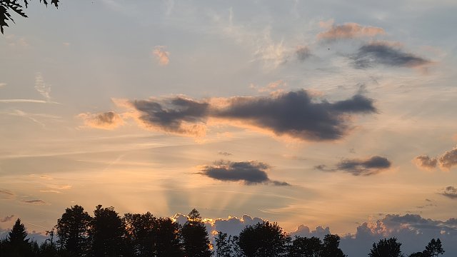 img00029.jpg